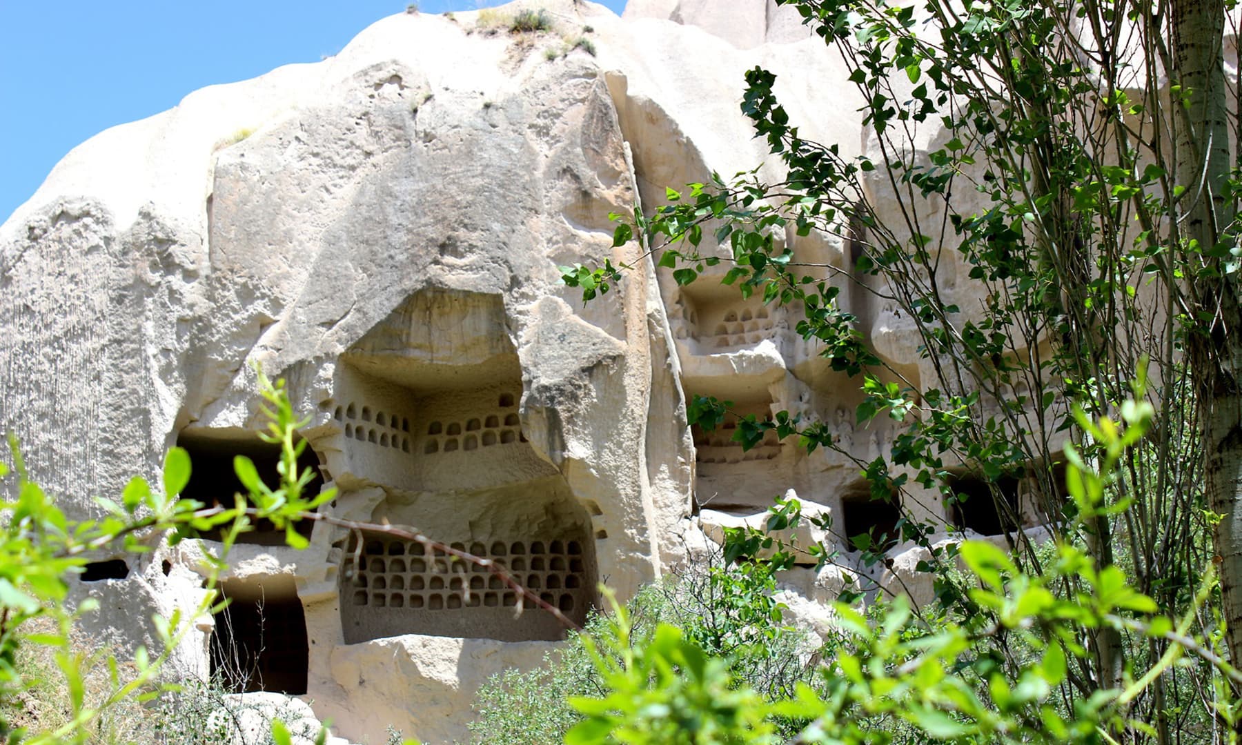 Caves carved out in Rose Valley.