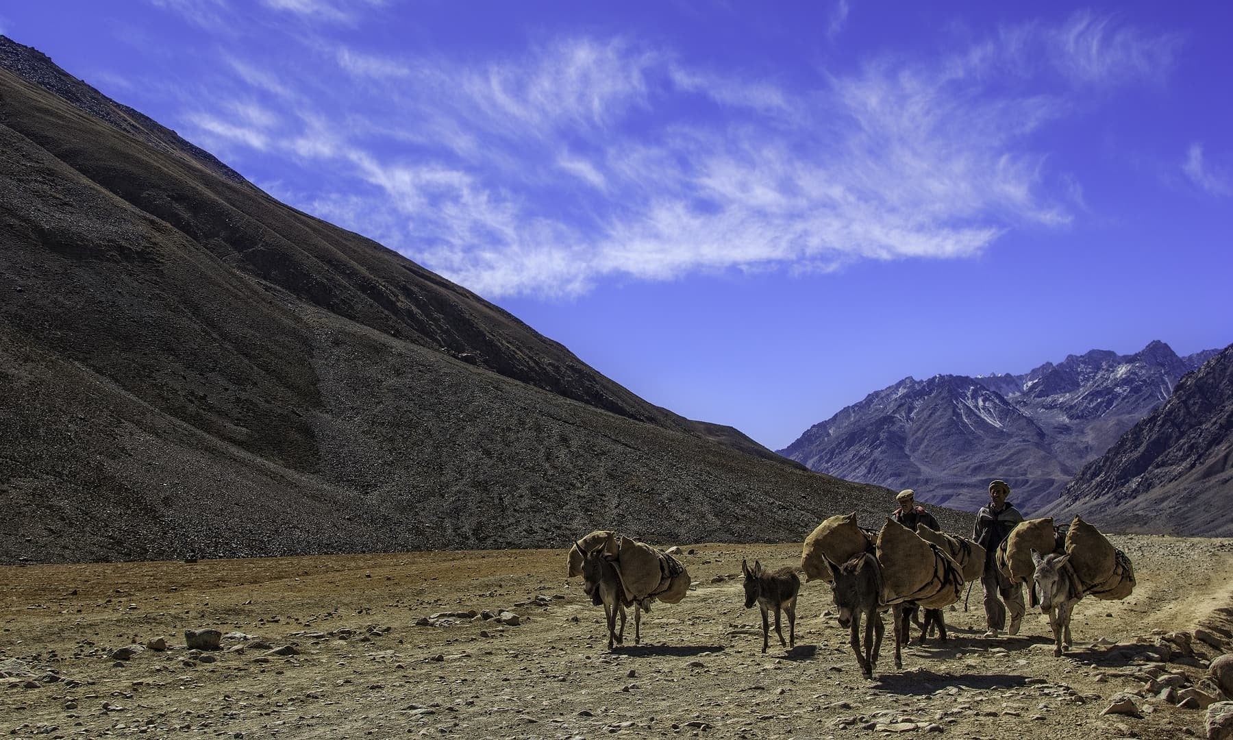 Image result for shandur pass