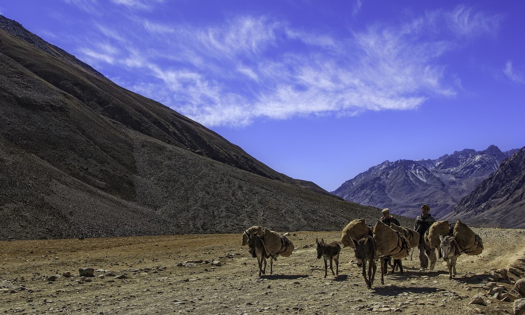 Near Shandur Pass.