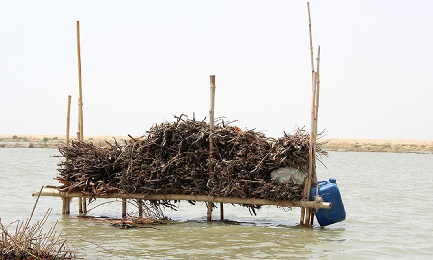 Wood collected at one place, used for cooking and heating the water.