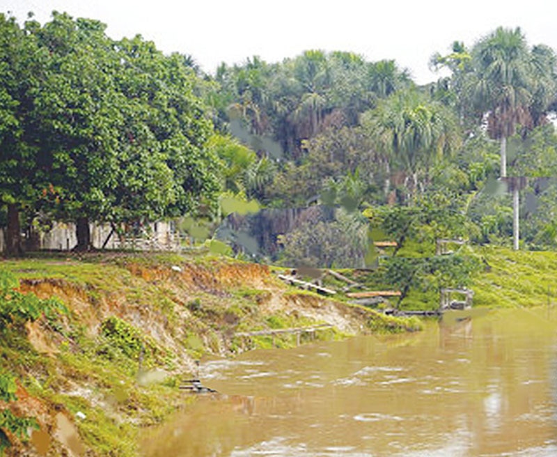 Portion of the forests in interior Sindh.