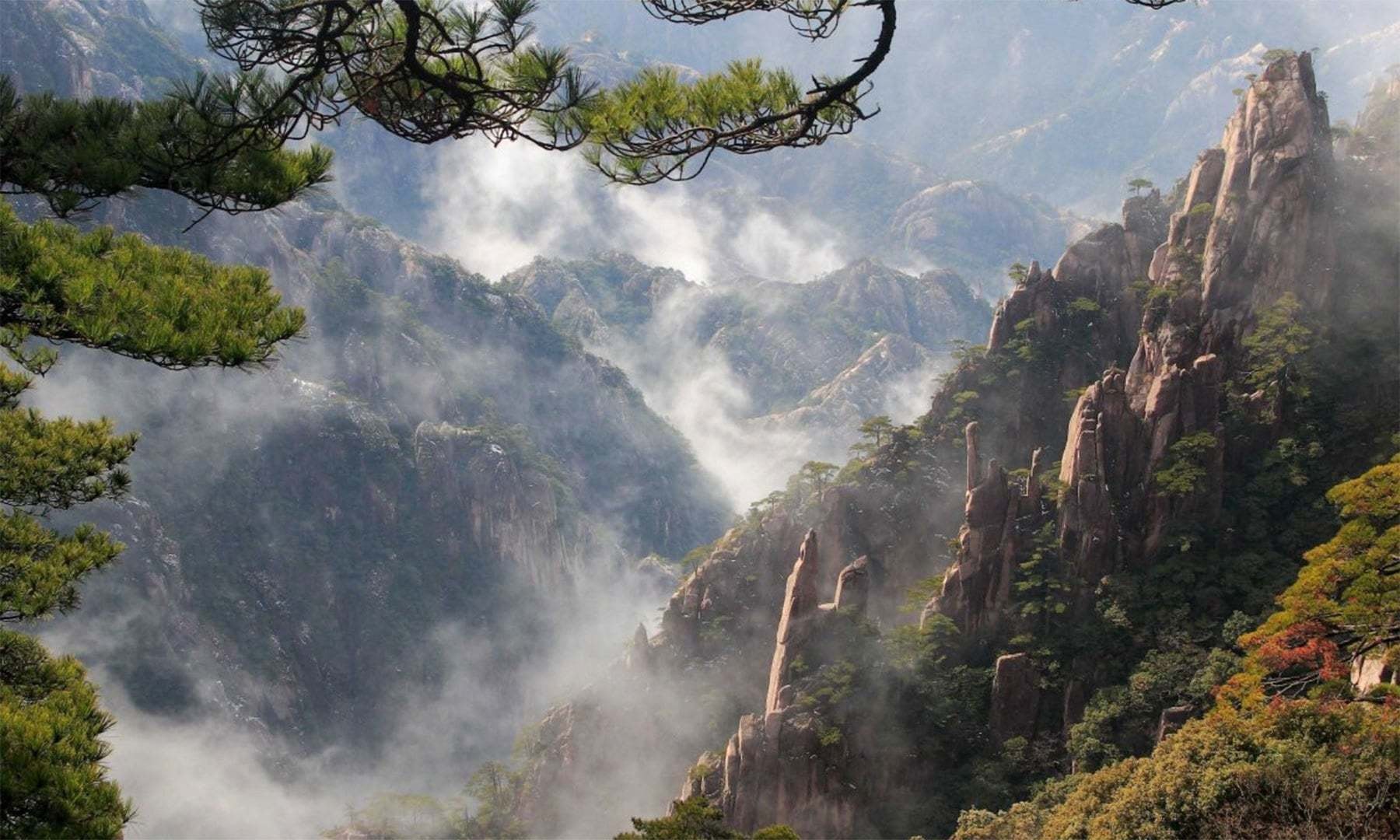 کریٹیو کامنز فوٹو