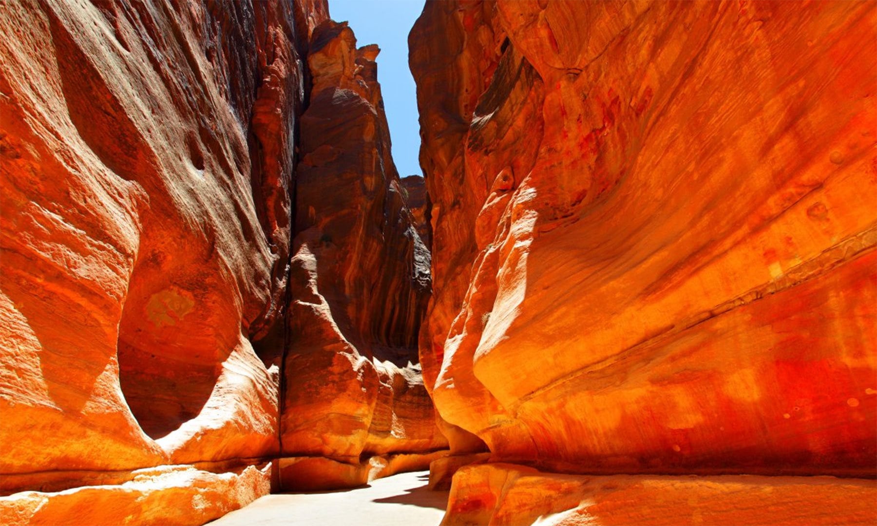 کریٹیو کامنز فوٹو