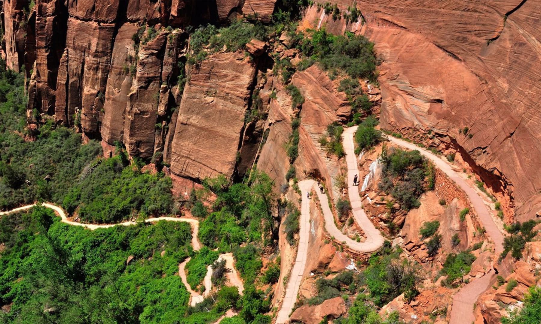 کریٹیو کامنز فوٹو