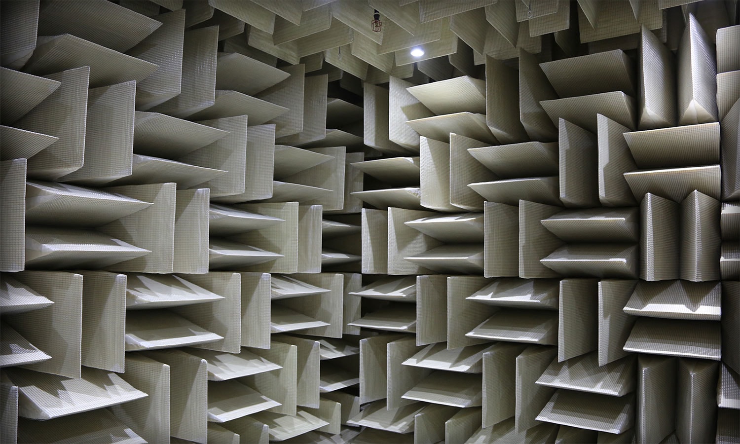 فوٹو بشکریہ مائیکروسافٹ