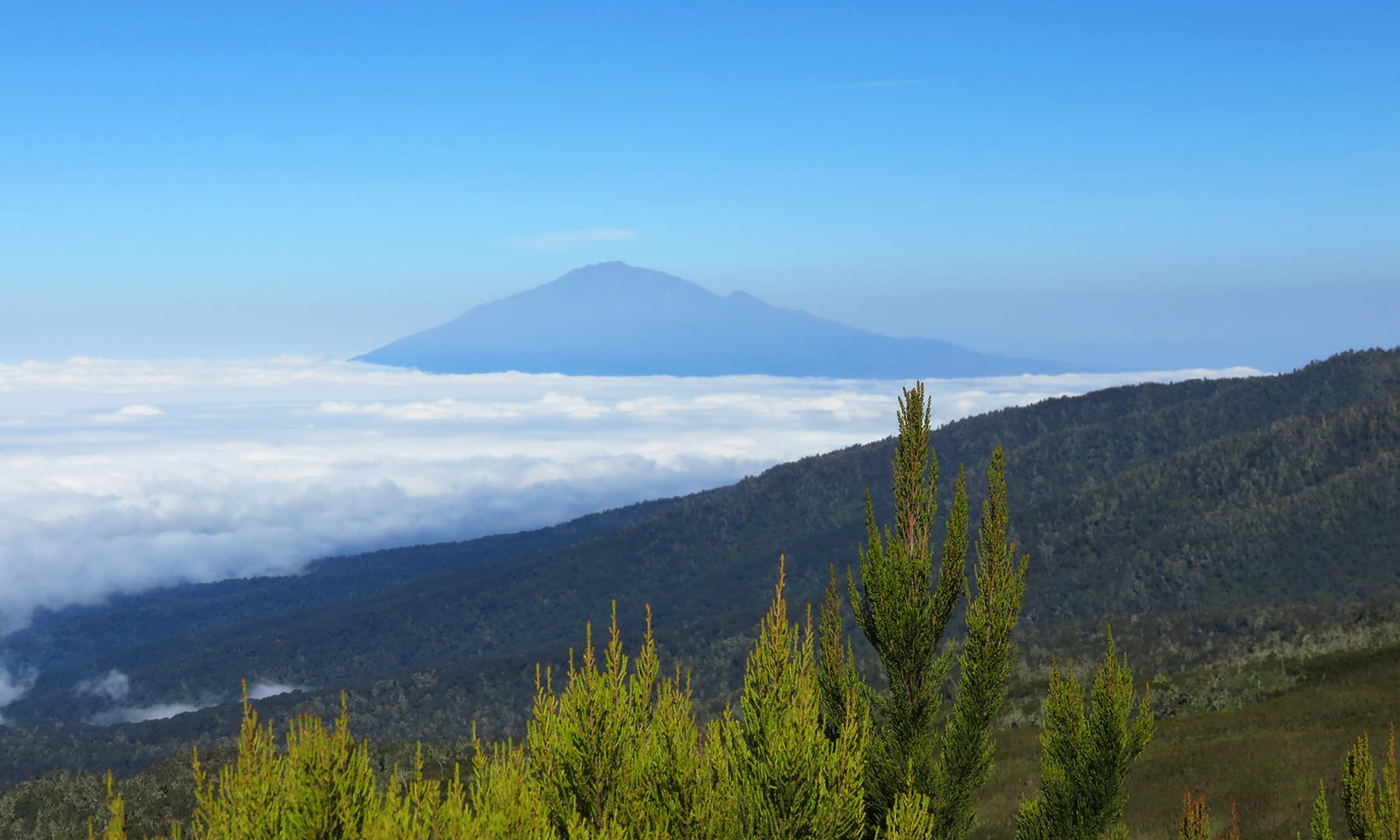 Our first glimpse of Mount Meru – Kilimanjaro’s little brother, which then became a constant throughout the journey.