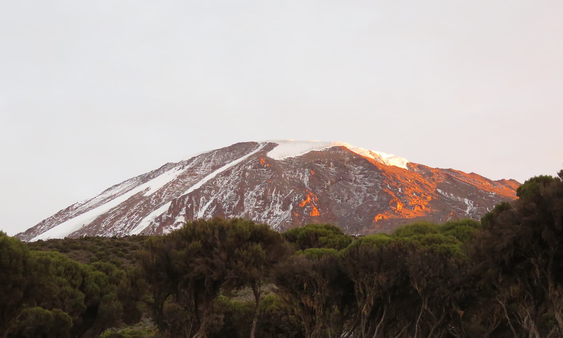 The morning after – waking up to a great view: sunlight reflecting off Kilimanjaro.