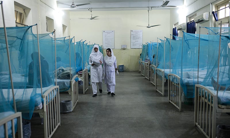 Doctors and nurses are working around the clock to tend to hundreds of dengue patients at the Benazir Bhutto Hospital. The hospital is currently full up to to its capacity and further patients diagnosed with Dengue are sent to the District headquarters hospital in Rawalpindi. ─ Photo by author