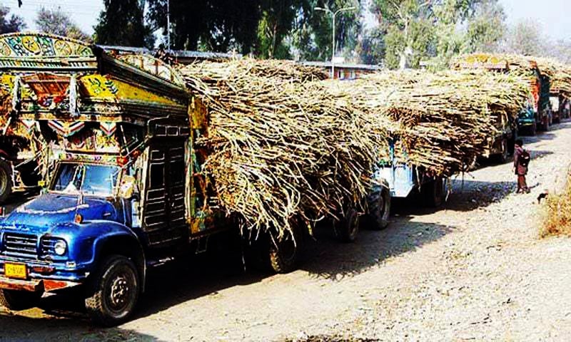 Sugarcane Crushing Newspaper DAWN COM