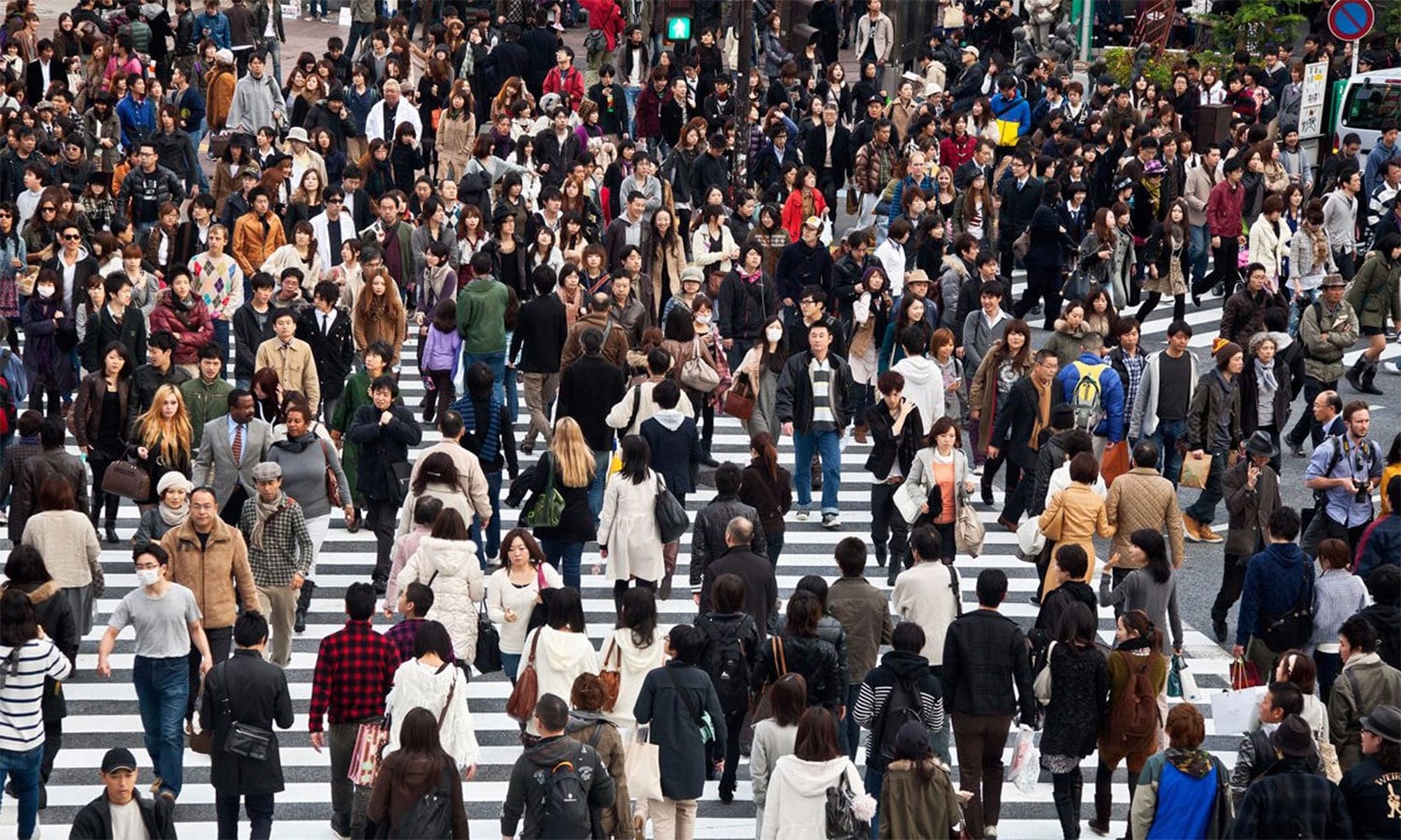 کریٹیو کامنز فوٹو