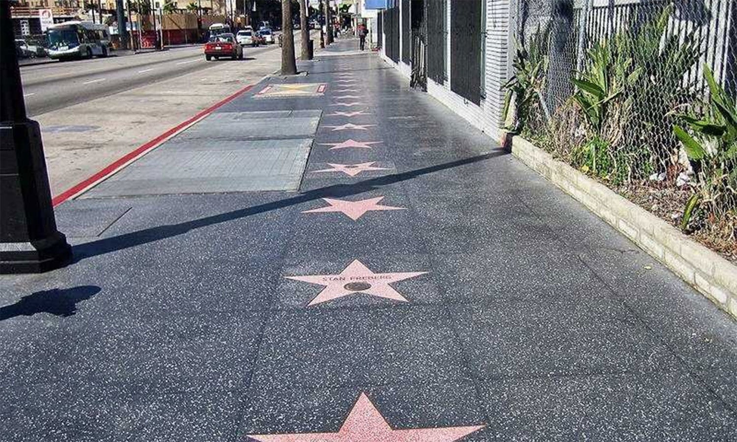 فوٹو بشکریہ وکی میڈیا کامنز