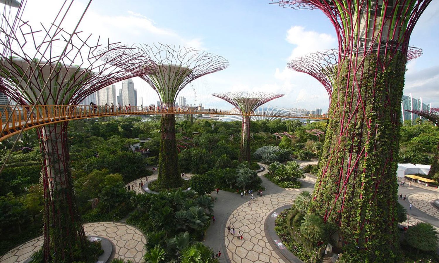 فوٹو بشکریہ وکی پیڈیا