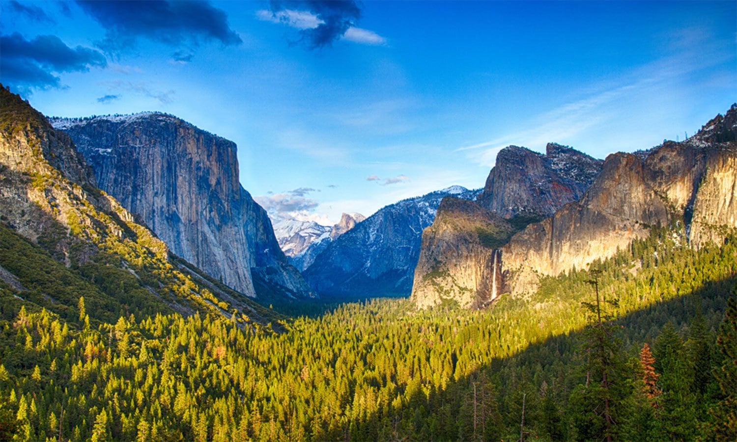 کریٹیو کامنز فوٹو