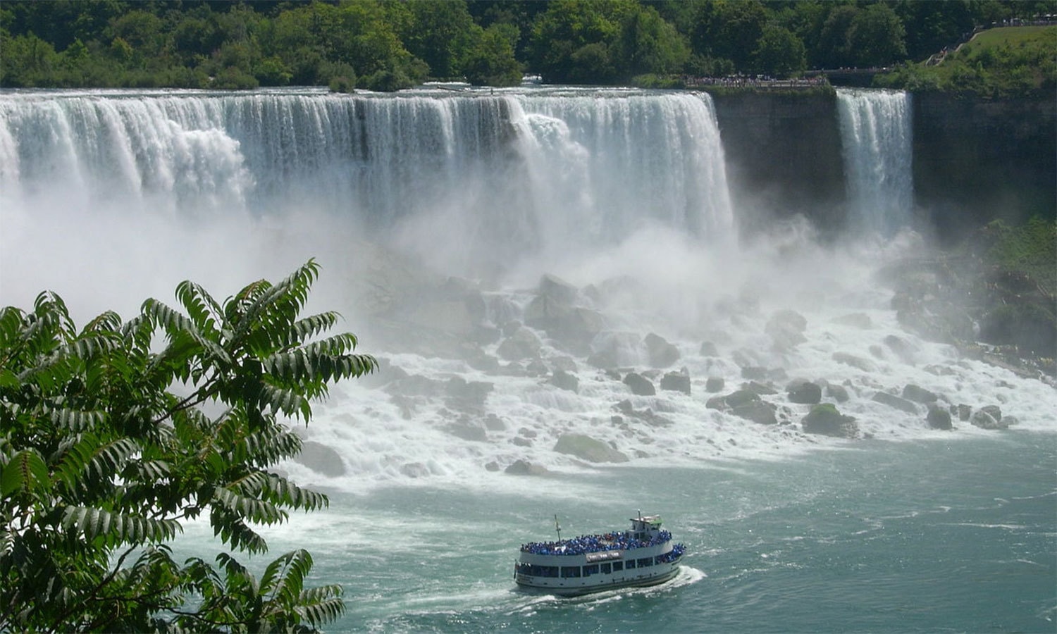 فوٹو بشکریہ وکی پیڈیا