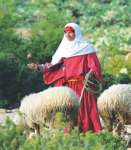TUNISIAN herder Dhiba Soltani, 40, watches her flock on Mount Mghila between Kasserine (some 360 kilometres south of Tunis) and the central town of Sidi Bouzid. She is a cousin of the 16-year-old shepherd, Mabrouk Soltani, who was slaughtered and beheaded by militant Islamic State group on Nov 13.&mdash;AFP