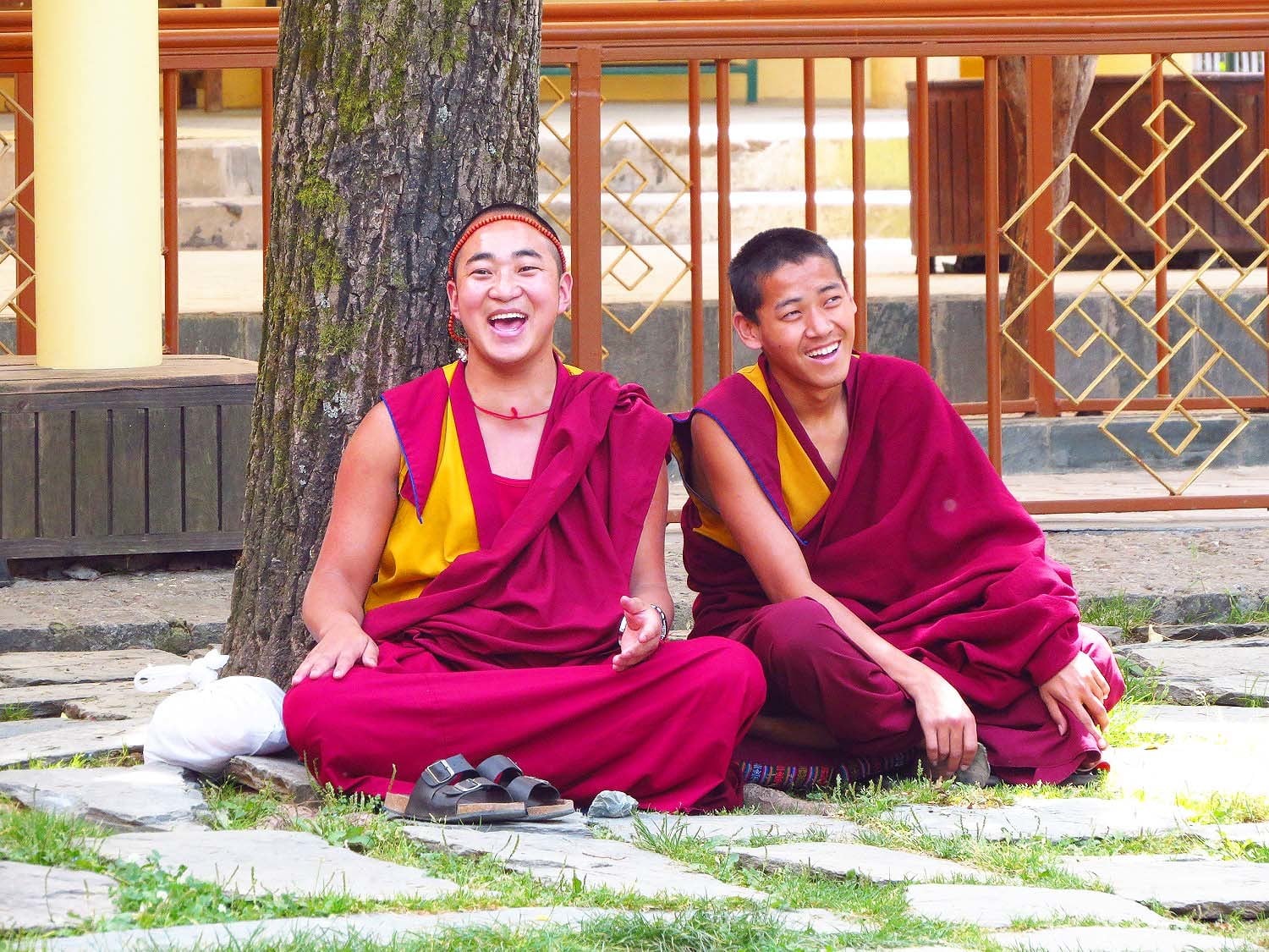 Laughing monks, McLeod Ganj.