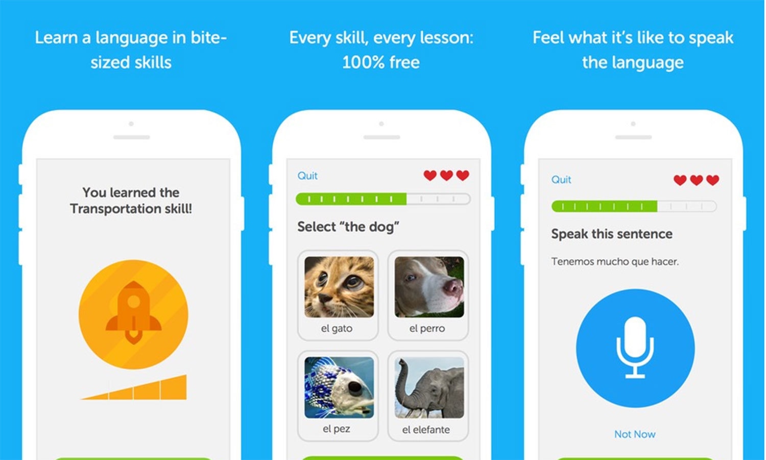 فوٹو بشکریہ ڈیولنگو