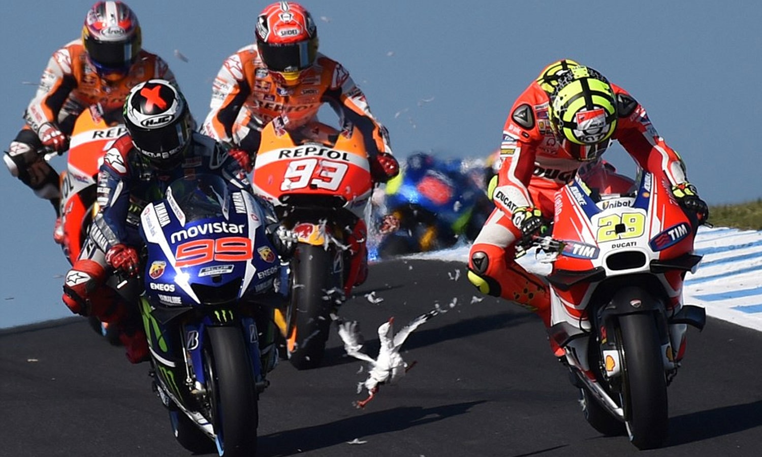 اکتوبر میں آسٹریلین موٹو جی پی ریس کے دوران ایک سمندری بگلا مارک کوئز کی بائیک سے ٹکرا گیا۔ فوٹو : اے ایف پی