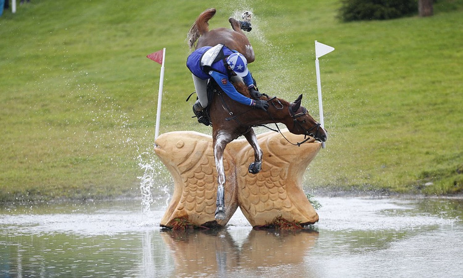 روس کے گھڑ سوار میخائیل نیستینکو اسکاٹ لیند میں منعقدہ ایف ای آئی یورپین ایونٹنگ چمپیئن شپ کے دوران گھوڑے سے گھر گئے تھے۔ فوٹو : رائیٹرز