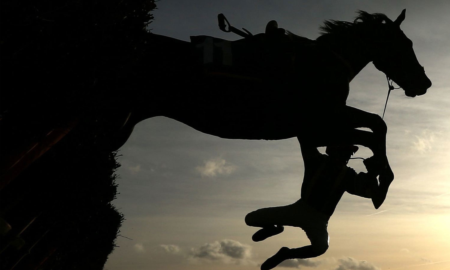 ڈیوڈ نونا انگلینڈ میں منعقدہ ایک ریس کے دوران حادثاتی طور پر اپنے گھوڑے سے گر گئے تھے۔ فوٹو:اے پی