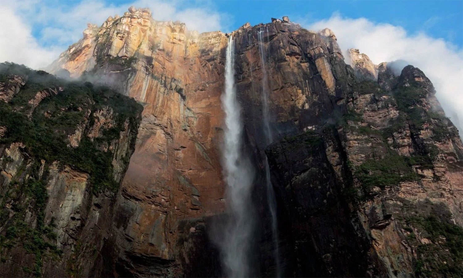 کریٹیو کامنز فوٹو