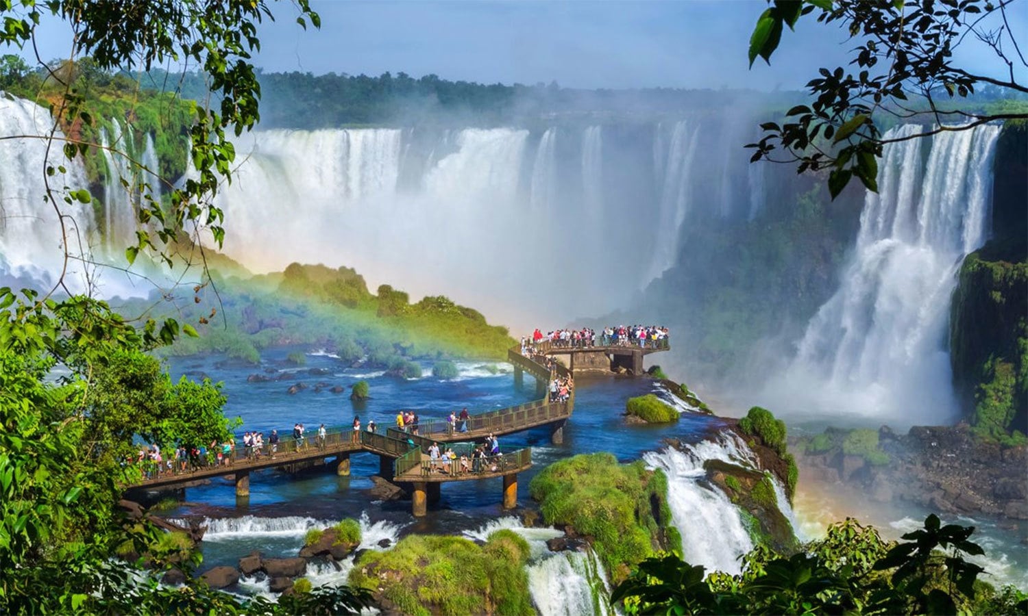 کریٹیو کامنز فوٹو