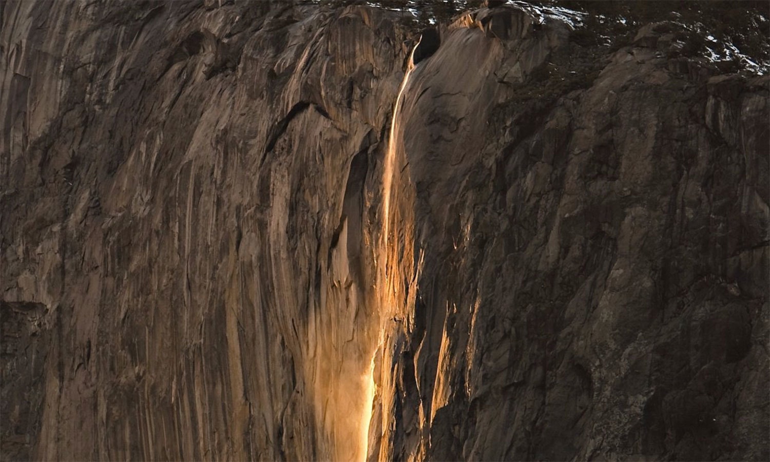 کریٹیو کامنز فوٹو