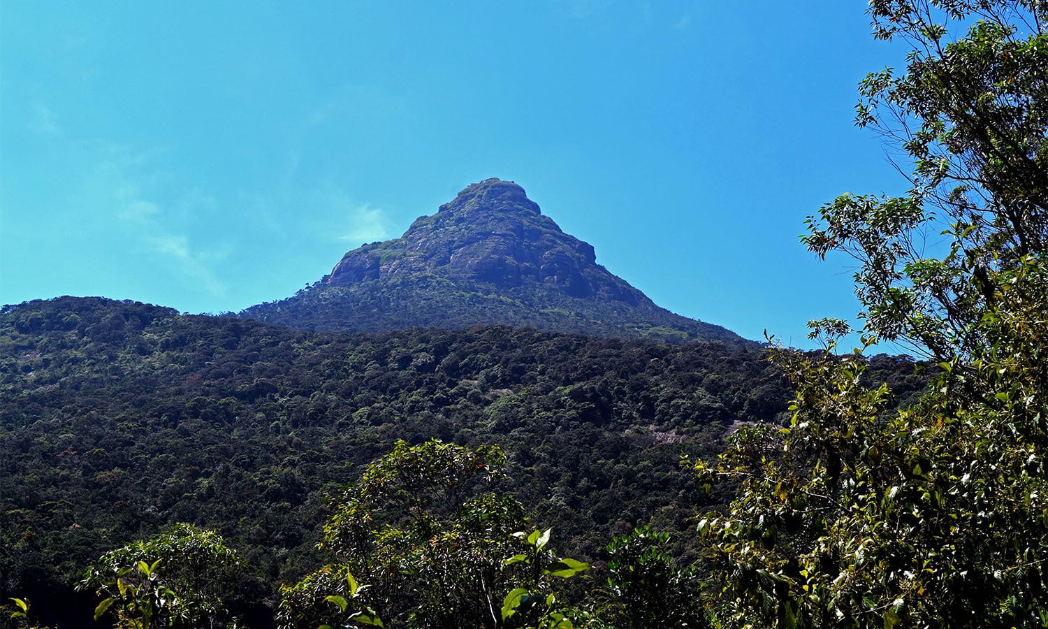 View of the Adam's Peak from halfway. ─ Photo by the author