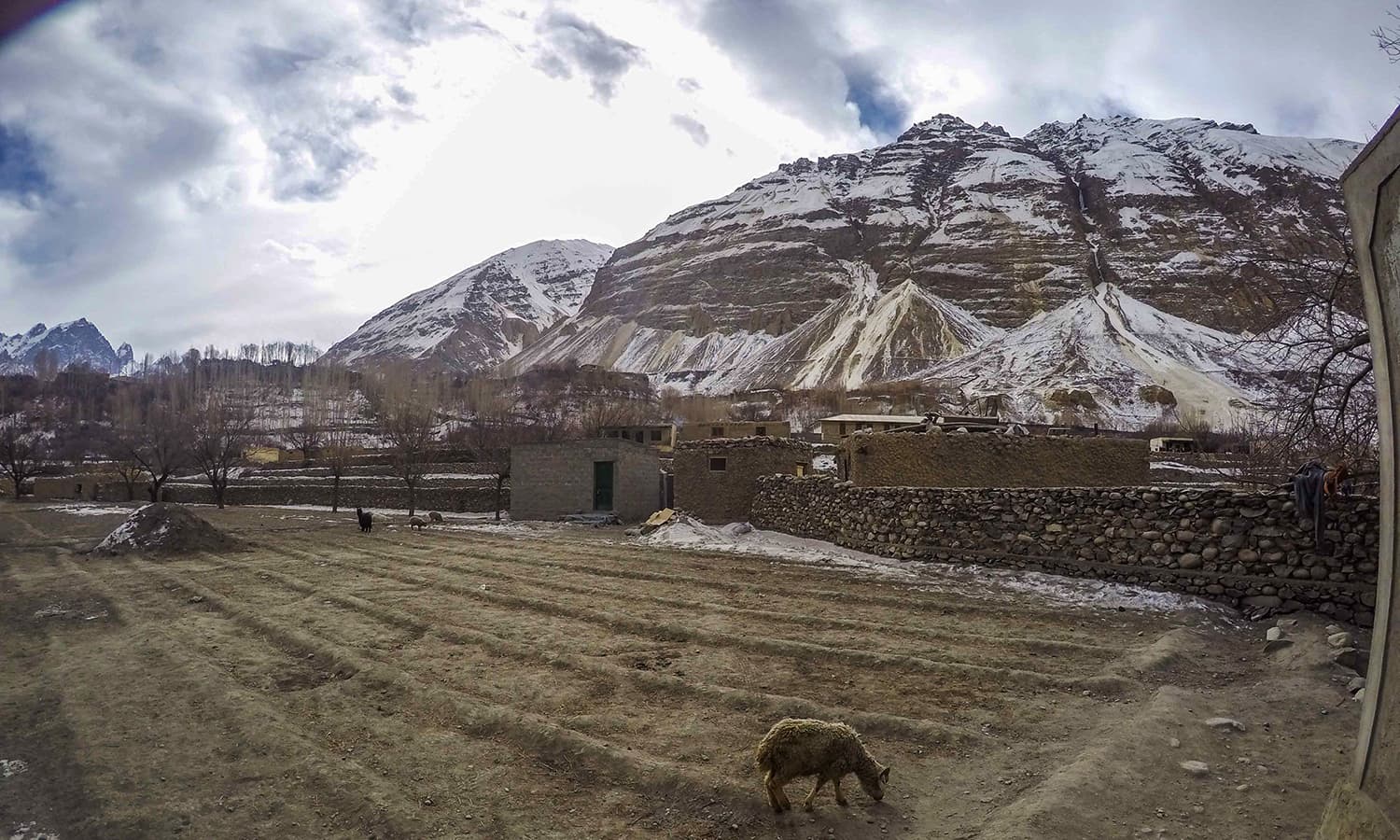 Woke up to this in Shimshal. This goat later came to give me company while I went about my business in the outdoor toilet. Clearly goats don't understand privacy. —Photo by author