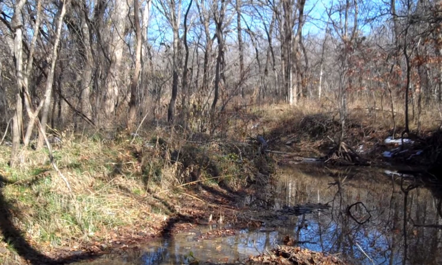 یوٹیوب اسکرین شاٹ