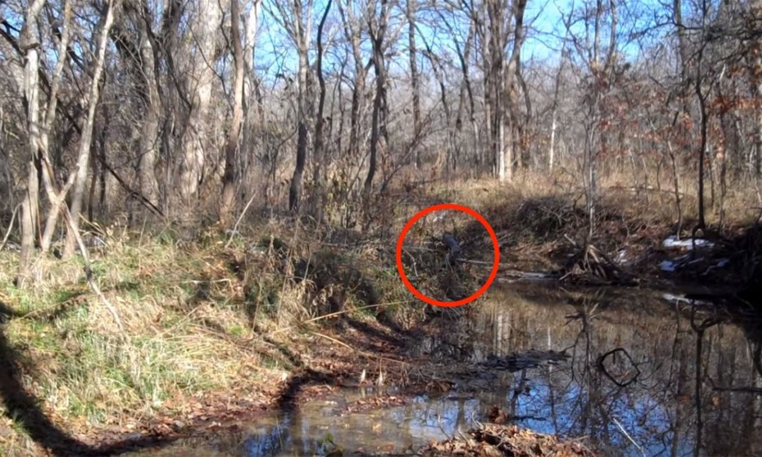 یوٹیوب اسکرین شاٹ