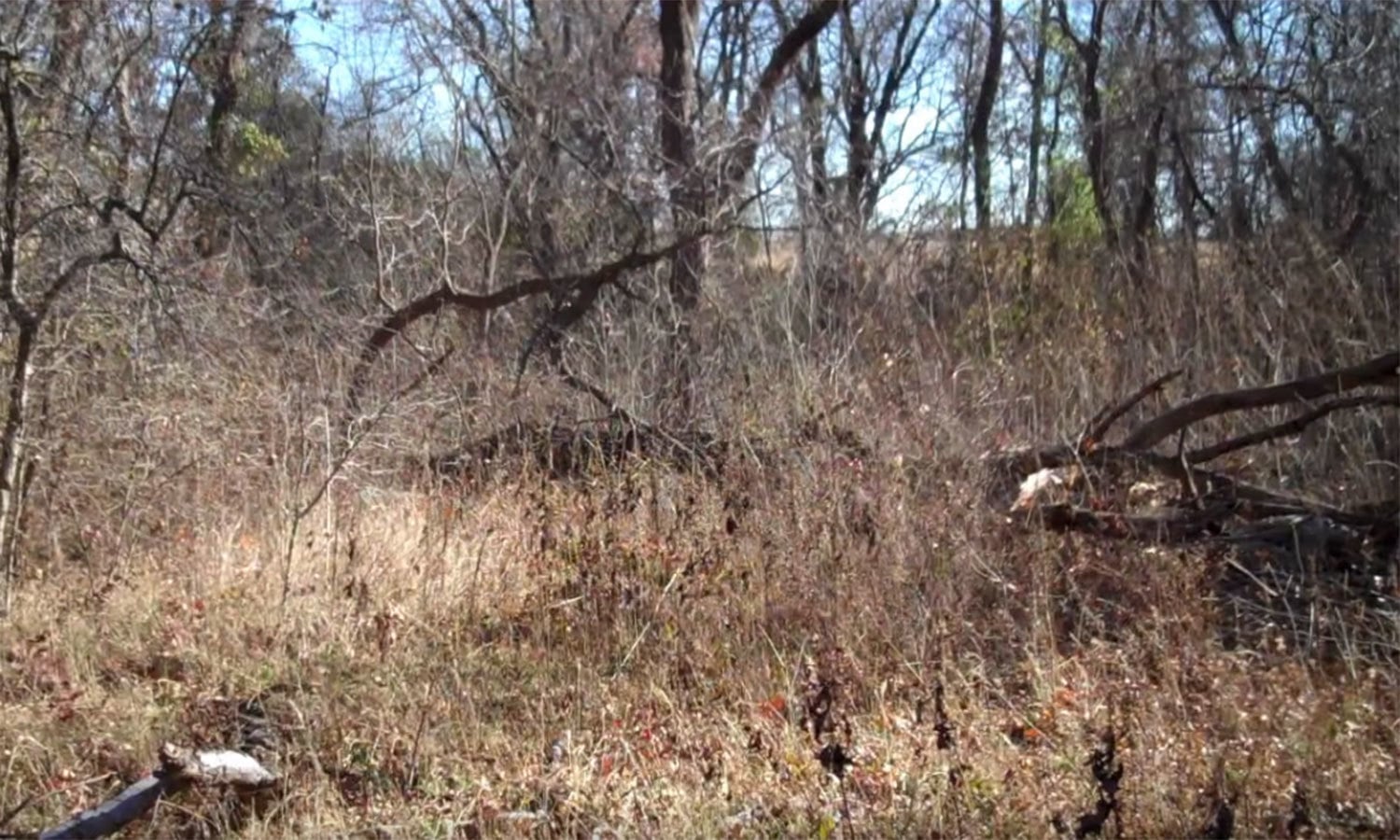 یوٹیوب اسکرین شاٹ