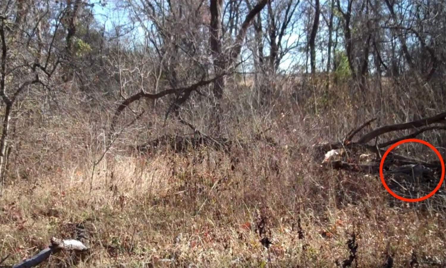 یوٹیوب اسکرین شاٹ