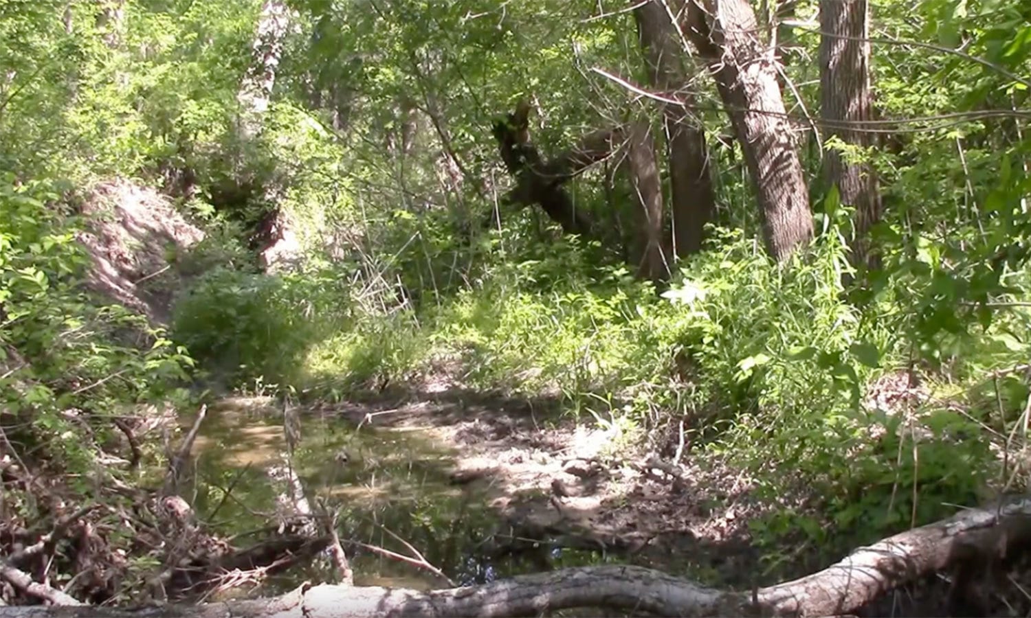 یوٹیوب اسکرین شاٹ