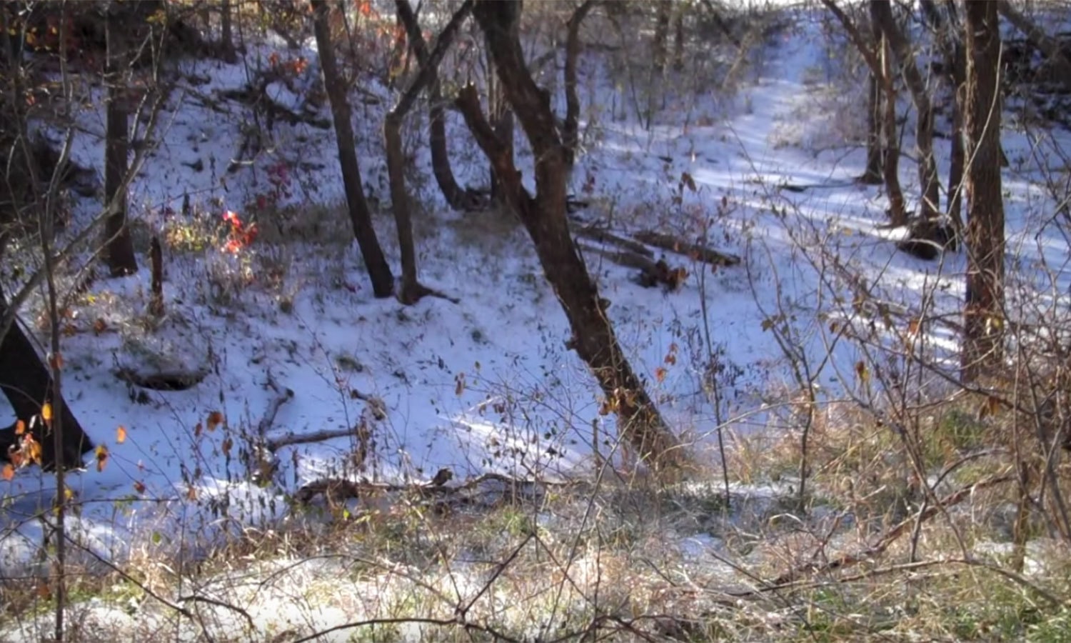 یوٹیوب اسکرین شاٹ