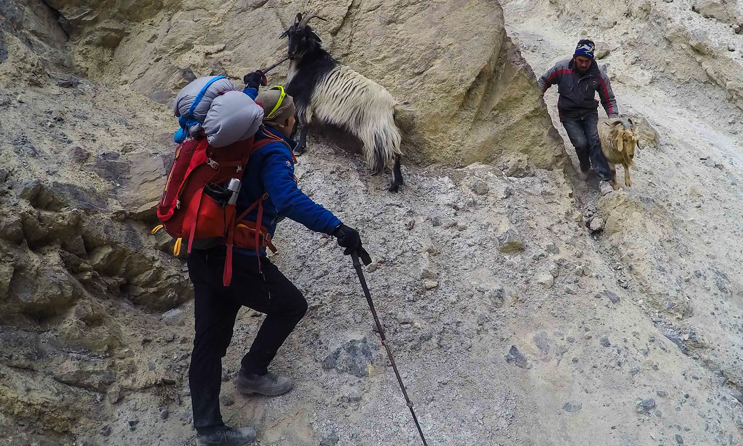 Catching our dinner that got away. Goats may be fast and nimble on the mountains but they were no match for these Shimshali men. — Photo by author