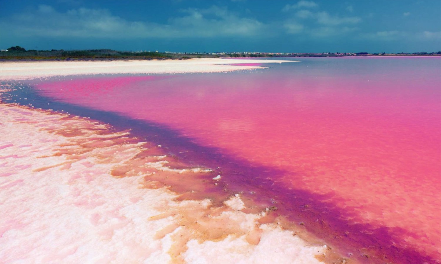 کریٹیو کامنز فوٹو