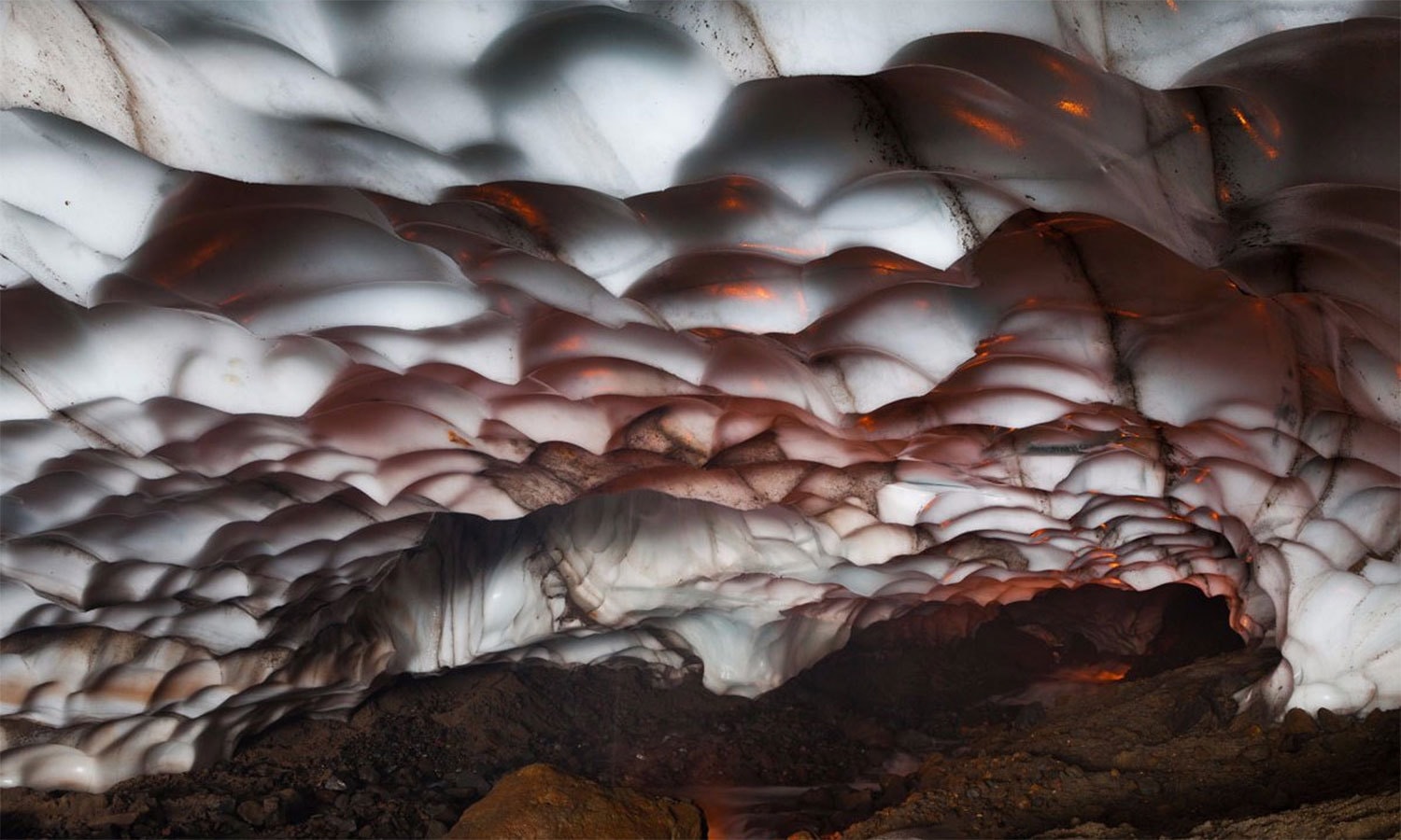 کریٹیو کامنز فوٹو