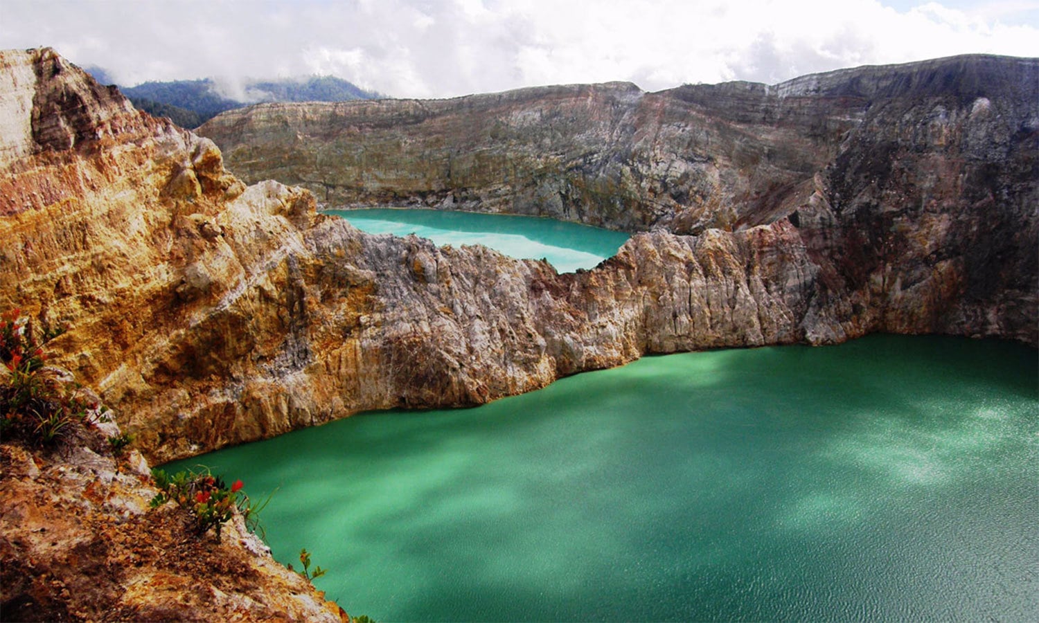 کریٹیو کامنز فوٹو