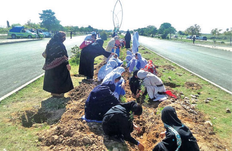 Volunteers plant saplings at Regi Model Township, Peshawar, on the World Forest Day. &mdash; White Star