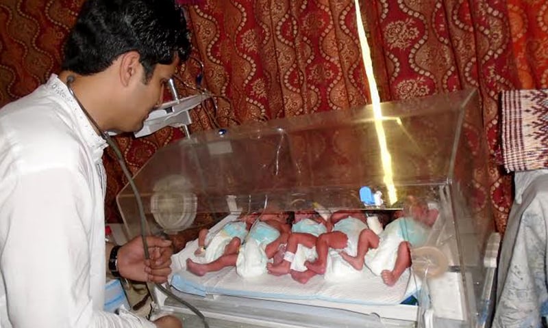 A total of 1165 cases of multiple gestation were recorded in KP last year. —Photo by the author