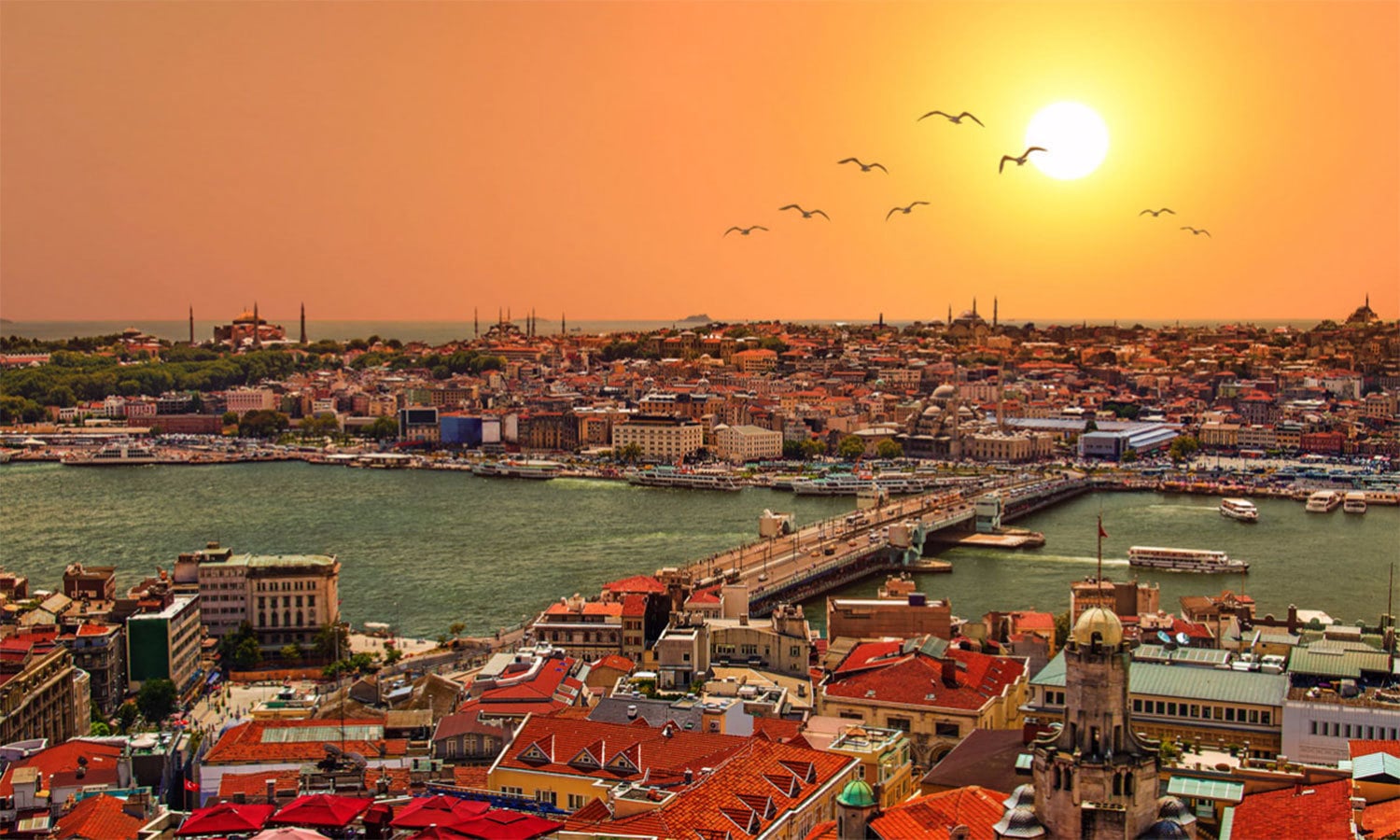 کریٹیو کامنز فوٹو