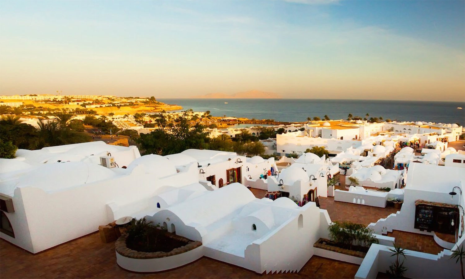 کریٹیو کامنز فوٹو