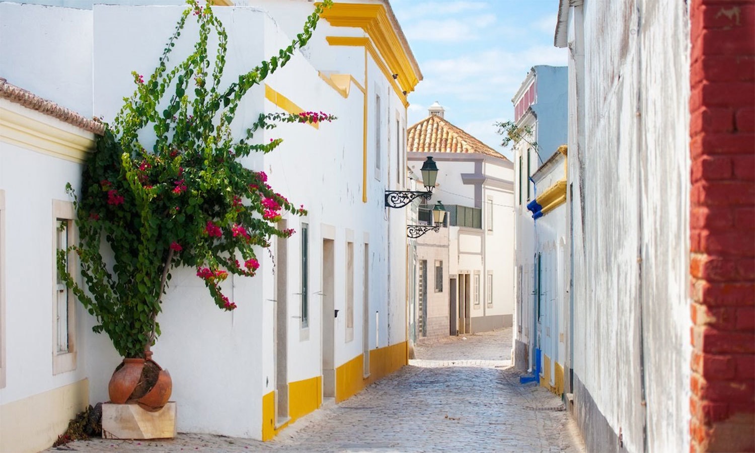 کریٹیو کامنز فوٹو