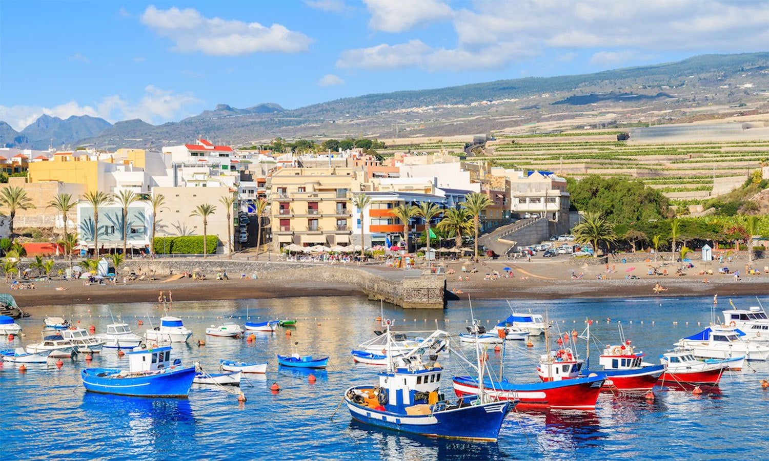 کریٹیو کامنز فوٹو