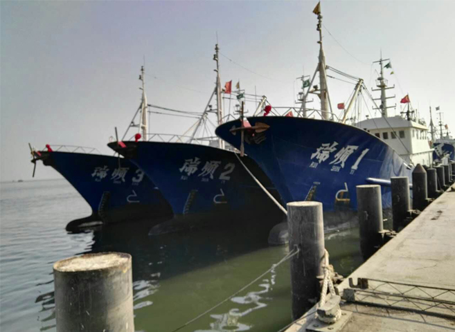 DEEP sea fishing trawlers from China anchored at the Korangi Fish Harbour on Wednesday.