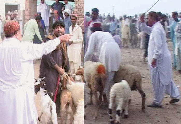 EX-MNA Babul Jakhrani and his associates forcing traders to vacate his land near cattle market in Jacobabad on Wednesday.&mdash;Dawn