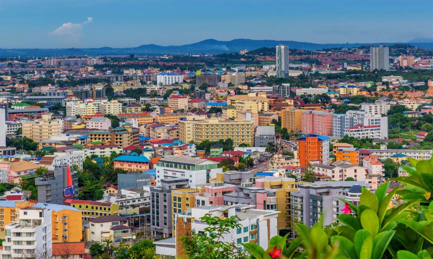 کریٹیو کامنز فوٹو