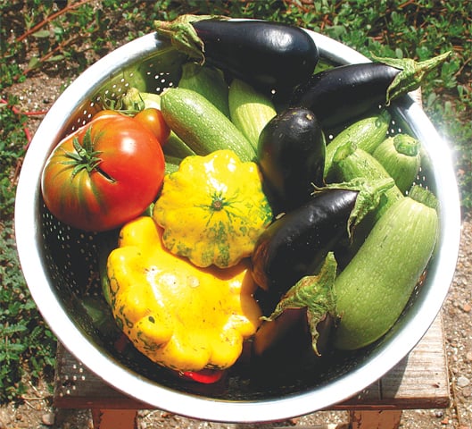 Bowl full of summer vegetables