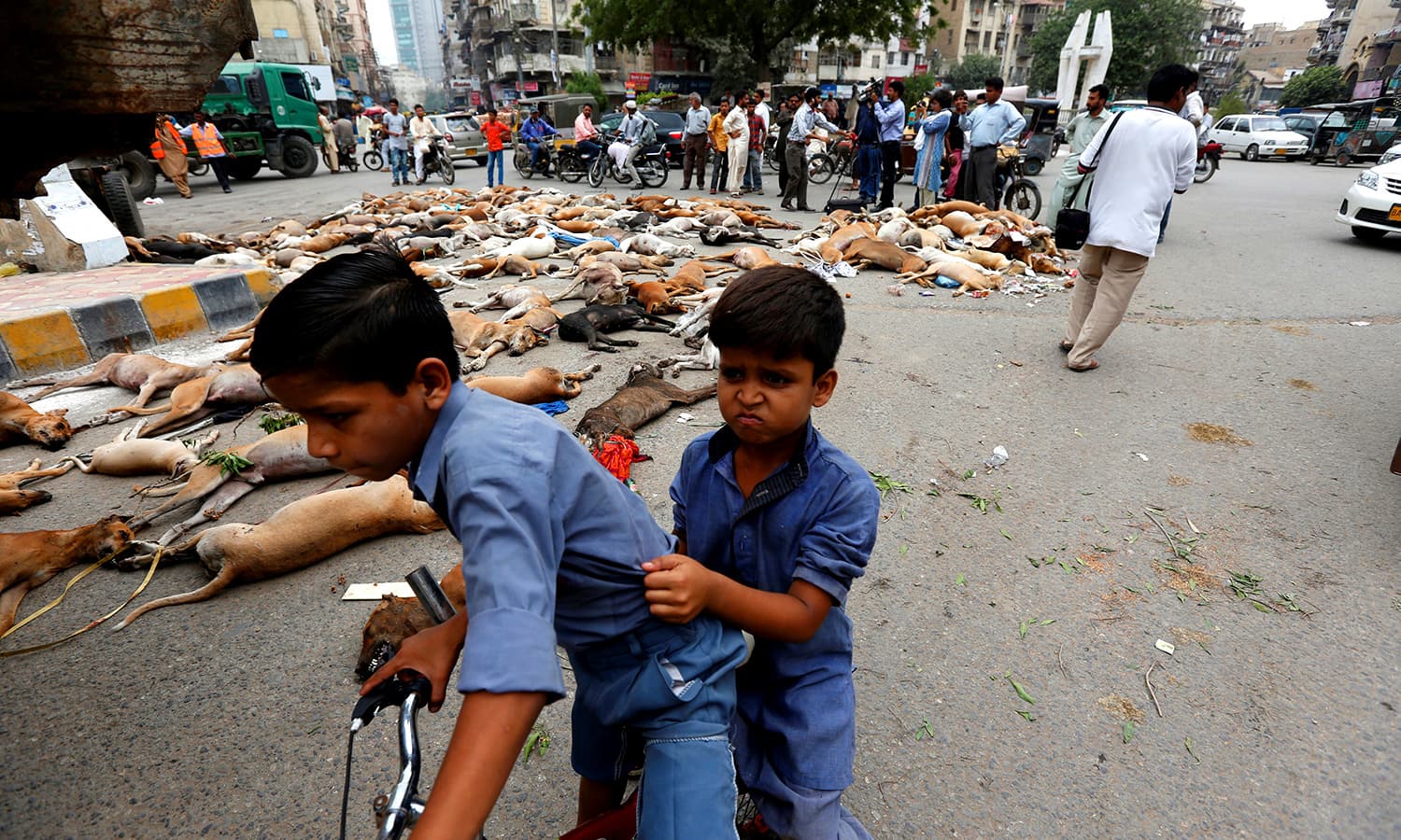 Children react as they ride a bicycle past the carcasses of dead dogs, collected after they were culled using poison by the municipality in Karachi. ─Reuters